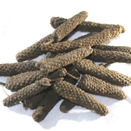 Cabai-Jawa Cabai-Jawa