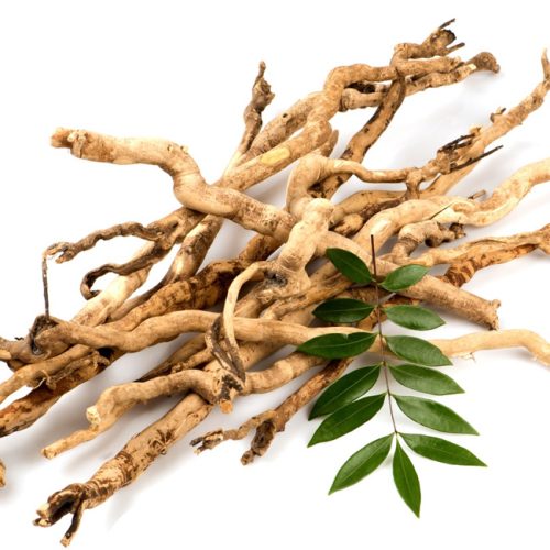 pasak bumi pasak bumi